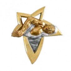 Aplique Estrela Dourada - Natação